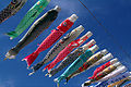 Carp streamers ye finiw ye minnu bɛ kɛ ka cɛnin bangeli delili kɛ cɛdenw ka don na. (Sagamihara dugu kɔnɔ)