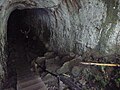 L'ingresso al tunnel di lava sull'isola di Santa Cruz.