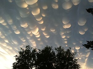 Mammatocumulus with drooping pouches