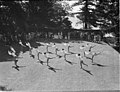 Ruth Fairfax's former house, Elaine, at Seven Shillings Beach, Double Bay