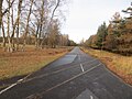 Straße im Brachter Wald