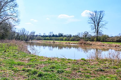 Étang de Tišina.