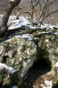 A Remete-hegyi 15. sz. barlang bejárata