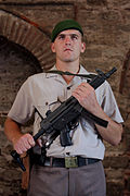 A Turkish gendarme with an MP5 at Topkapı Palace in Istanbul