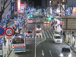 Vista nocturna