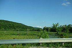 The Killbuck Swamp, east of Shreve