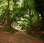 Holleweg in Wageningen (NL)