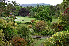 Muckross Gardens