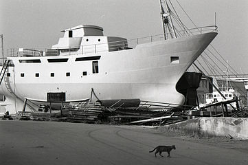 Ancona, 1969