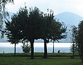 Spaziergang am Obersee