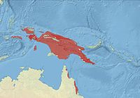 Distribución das tres especies actuais