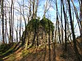 Überreste der Burg Gières