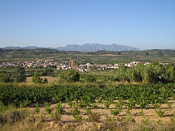 Skyline of Sant Pere de Riudebitlles