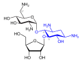 Ribostamycin (blau: Desoxystreptamin-Struktur)