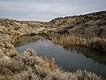 The short spring-fed Ana River flows into Summer Lake in south-central Oregon *** Photo shown on Main Page DYK Section 15 Jun 10