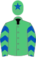 Emerald green, royal blue chevrons on sleeves, emerald green cap, royal blue star