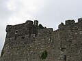 Castle Tioram (Scotland) (3)