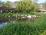 Vogelpark Niendorf