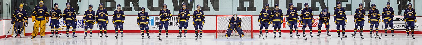 Lineup of Quinnipiac Bobcats players