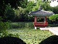 Ein Garten auf Jeju