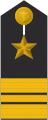 Kapitänleutnant (line officer or warrant officer career)