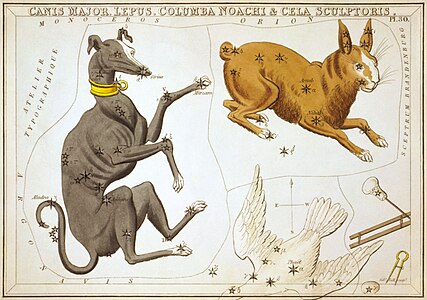 Tarjeta 30: Canis Major, Lepus, Columba Noachi & Cela Sculptoris