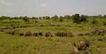 Stone Circle