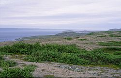 Varangerfjorden