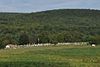 Tyringham Cemetery