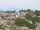 奈良の吉野山 Yoshinoyama in Nara prefecture Japan