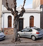 Casa Antonio Viñolas Tey