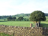 Baildon Moor