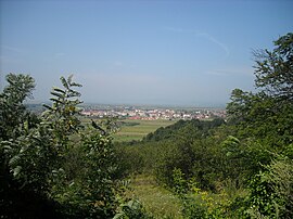 Hațeg panorama