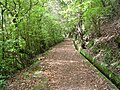 Levada do Furado.