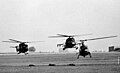 Hélicoptères Lynx, Scout et Gazelle construit par Westland du 1er régiment de l'Army Air Corps a Hildesheim, Allemagne de l'Ouest en 1980.