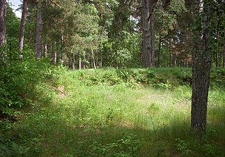 Östra vallen sedd inifrån skansen