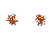 2i0j: Benzopyrans are Selective Estrogen Receptor beta Agonists (SERBAs) with Novel Activity in Models of Benign Prostatic Hyperplasia