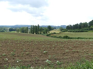 Paysage vers Sénézelles.