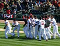 Image 28Baseball games sometimes end in a walk-off home run, with the batting team usually gathering at home plate to celebrate the scoring of the winning run(s). (from Baseball rules)