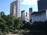 Vista del Central Park.