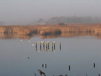 Titchfield Haven Nature Reserve