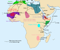 Les principales routes du commerce des esclaves en Afrique au cours de l’époque médiévale.