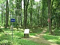 La grand'rue en 2008. Le relief du sol garde encore la marque des explosions d'obus et le panneau rouge sur l'arbre rappelle que la zone est toujours dangereuse.