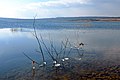 Lago Medard en februuaro de 2018