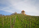 Burg Wildeck (Abstatt) 14. April 2018