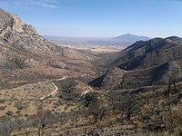 Desert valley with rolling hills and sparse trees