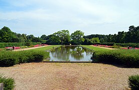 Het Rosarium