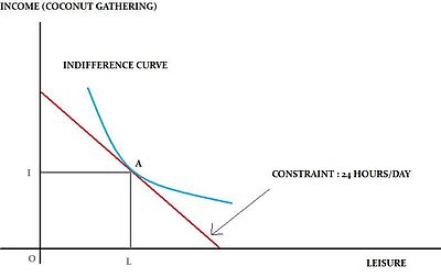 The Robinson Crusoe economy framework