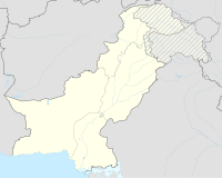 Neuseeländische Cricket-Nationalmannschaft in Pakistan in der Saison 1990/91 (Pakistan)