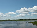 La rivière Caraquet en amont du pont de la route 11